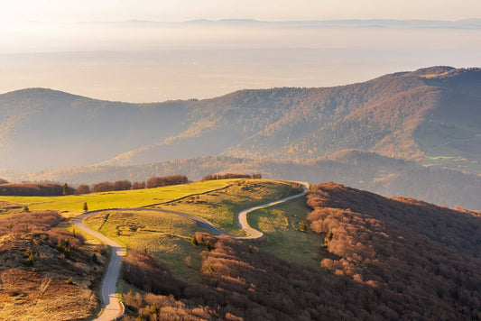 5 winter nature outings in the Vosges